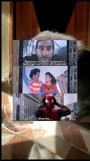 When You Realize Your Childhood Theory Was Totally Wrong#funnymemes #funny #funnyshorts