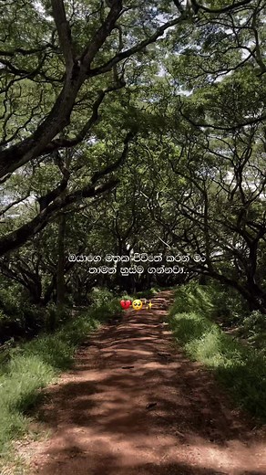 ✨මතකයක් පමණක්ම විය.. ❣️ #obaperada #mathakadahendewe #sinhalasong #sinhalacoversong #covermusic #srilankansong #srilanka #nature #sad #fypage #viralvideo #bs
