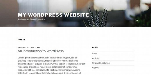 WordPress网站自定义首页教程