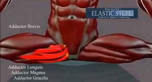 19 reactions | The Side Split is a rather Simple Split to Master. Target the muscles one by one with Zaichik Stretching Techniques. See which muscles you need to stretch... *** July 4th Sale Happening Now! Use code: JULY30OFF to get 30% off in all programs and certification courses at ElasticSteel.com *** | ElasticSteel Martial Arts | Facebook