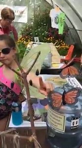 Monarch Watch on Reels