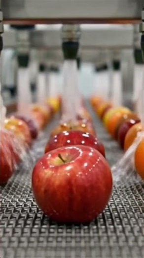 “Inside the Factory: A Process You’ve Never Seen Before!”