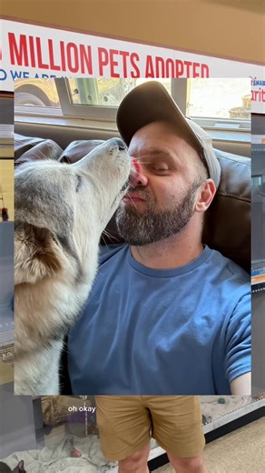 Our Associate, Shayne, met his forever friend at a PetSmart Charities adoption event, and it was love at first sight 🥹🐾 Visit an adoption event at a PetSmart near you and meet the companion who’s been waiting for you 💖 #NationalAdoptionWeek #PetSmart #AnythingForPets | PetSmart