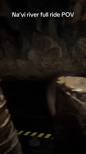 Na'vi River Full Ride POV - Avatar Pandora Disney World