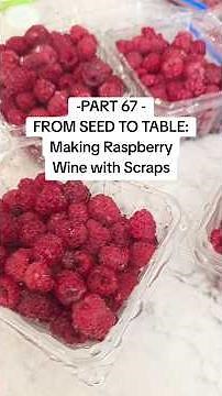 Part 67 From Seed to Table: Making Raspberry Wine with Scraps