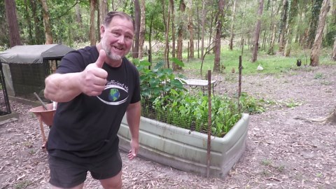 Growing food in a muddy bog raised bed | Taro and arrow head