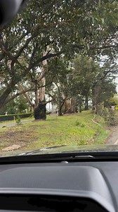 Sandra Horne - Model/Host/Presenter & MC on Reels