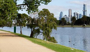 Albert Park