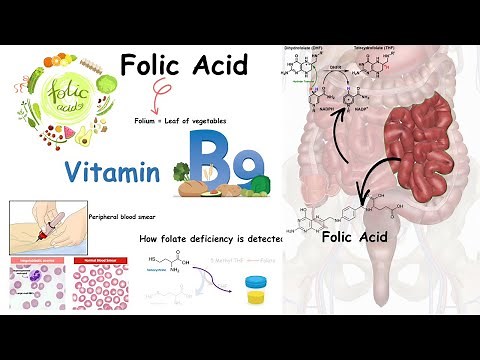 Folate ( Vitamin B9) and folate deficiency