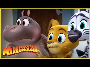 DreamWorks Madagascar en Español Latino | Escapar de la policia! | Madagascar: Algo Salvaje