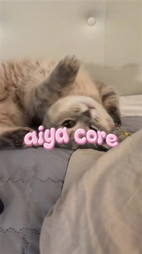 Aiya: The Essence of Emotions
