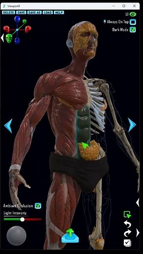 My Tool to Study Anatomy for Character Design #blender #zbrush #3dsculpting