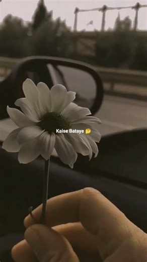 Tu Jaane Na 🤔🥰 whatsapp status 💝