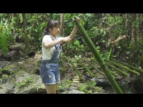 Solo Girl Builds Bamboo House in the Forest - An Inspiring Survival Journey!