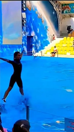 #dolphinarium #odessa Бегущая по волнам💃👍