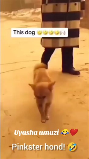 Ibase ibase ibase 🥺🔥😂❤️