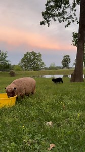 “Mary quietly treasured these things in her heart...” (Luke 2:19) Eight powerful words to describe motherhood. Oh, how our momma hearts are the keepers of treasured moments: the miraculously fresh newborn moments, the groggy middle of the night moments, the joyful adventuring together moments, the cheering for at the sideline moments, and the beautifully hard letting go and releasing them off into the world moments. May I never take a single of these beautiful, miraculous, mundane, passing-by-in
