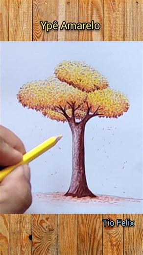 Como Desenhar uma Árvore Ipê Amarelo Facilmente