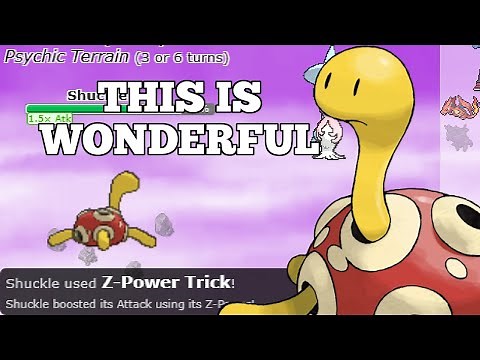 TURNING SHUCKLE INTO THE ULTIMATE SETUP SWEEPER WITH Z-POWER TRICK...