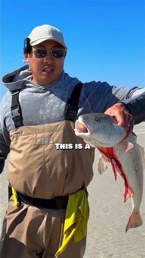 Chinese New Year Catch & Cook! 🎣