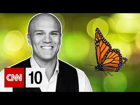 The tiny tech revolutionizing what we know about butterflies | January 28, 2026