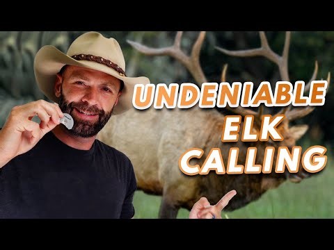 Undeniable ELK CALLING - The Quickest Way