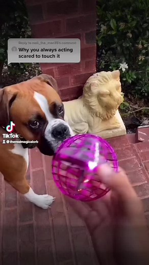 @therealmagicalorb #fyp #CloseYourRings