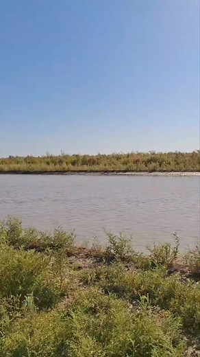 Danatar (@danatar80)’s videos with оригинальный звук