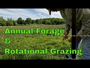 Rotational grazing and planting summer forage.