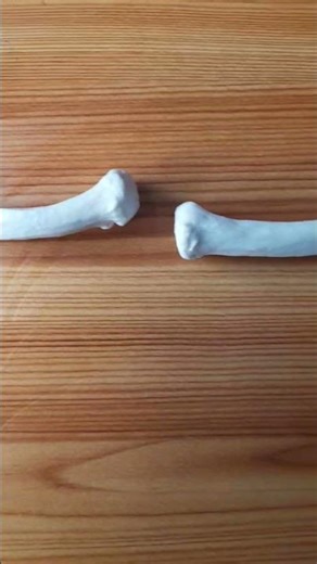 Most students ignore this bone… until exams 💀 | Clavicle #dpt