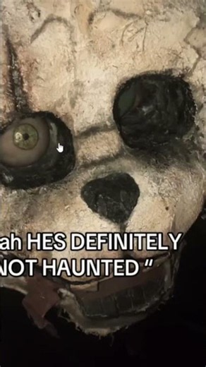 THESE ANIMATRONICS ARE REAL AND THEY ARE NEAR YOU