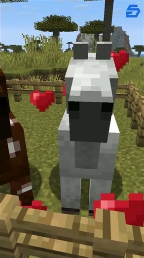 How to Breed Horses in Minecraft