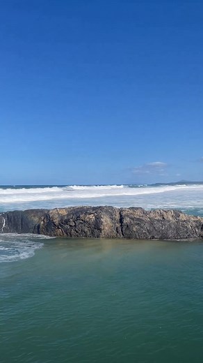 🤩 Experience a slice of coastal paradise at Boambee Headland, where nature's wonders come alive! 🌄 Perched above the glistening Boambee Creek, this headland offers a front-row seat to breathtaking vistas that will leave you in awe. 💨 Feel the salty breeze caress your skin as you take in the panoramic views of Boambee Beach, the endless expanse of the ocean, and the golden sands stretching as far as the eye can see 🏞️ Boambee Headland is the ultimate vantage point for witnessing the majestic