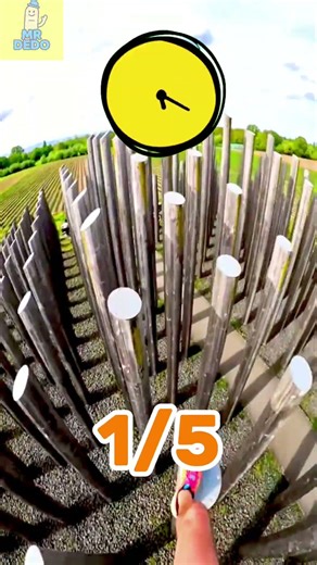 ¿Eres un Buscador de Comida? 🤣👇