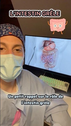 Le rôle de l’intestin grêle 👨🏻‍⚕️
