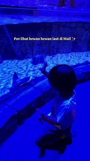 Anak senang, ibupun senang hehehe Seneng banget ada aquarium hewan laut di dalem Mall gini. Beli tiket lewat tiktok bs lebih murah #promotiktok #bxsea #mallkidsfriendly #momlife #kidsfriendly