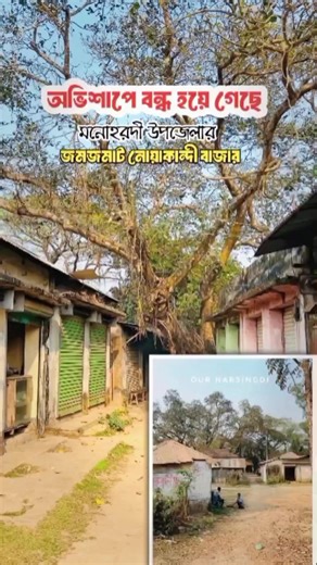 অভিশাপের পর থেকে ফেরেনি এই বাজারে মানুষের ভিড় #creatorsearchinsights #fyp #foryou #narsingdi_bd #VillageReels
