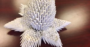 (Paper) Plants and Animals Invade South Florida To Create 'Origami Everglades'