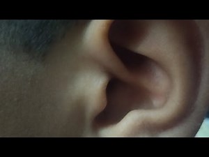 External Ear| Helix| Antihelix| Tragus| Antitragus| Cymba concha | scaphoid fossa | Triangular fossa