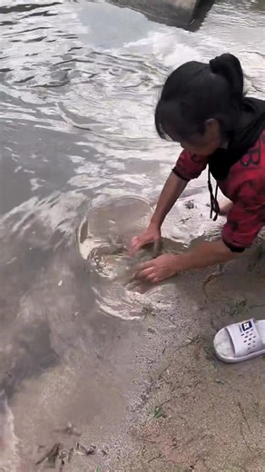 53 reactions | Unbelievable! Woman Finds Hidden Turtle by Spotting Bubbles in the Sand  | Incredible Nature Discovery #turtles #hiddenturtle #NatureDiscovery #spottingbubbles | Kawsaruzzaman Molla | Facebook