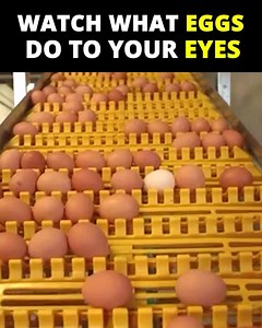 This "vision-repairing loophole" is helping people restore vision, erase floaters, and even toss out their glasses and contacts – all without eye drops, needles, or painful surgery. Thousands of people report clearer vision, reduced eye strain, and more confidence driving – even at night! Click below to see the "vision-repairing loophole" stunning doctors around the world. | Retina Renew