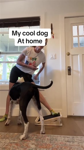 Cooper and Rae | TT Shop Deals on TikTok