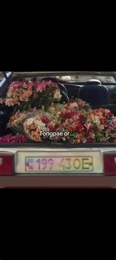 #TONGPAE #THEEWAVE #tthi_eks #waavetnp #duangwithyouseries I'm still wondering how the hell did pae do the catfishing that fast? , and how the hell did tong got fallen that fast? and why the hell he can't move on to cherry??? he is smart right so how the hell could he got tricked that fast and what the hell did pae do to trick tong that fast??? (I'm still thinking about whether it was tong or pae who was the stalker or maybe both of them are.Cus it could really make sense if one if them is a bit