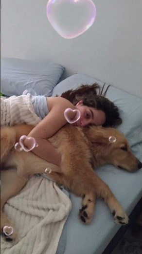 Dog Calming Music For Dogs🎵💖Anti Separation Anxiety Relief Music🐶Sleep dog Healing🎵 #music #piano