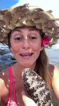 Rescuing a Hermit Crab!