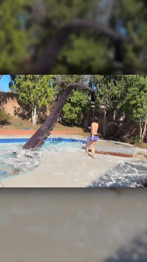 9K views · 43 reactions | Something is in the pool | Phil.Flock | Facebook