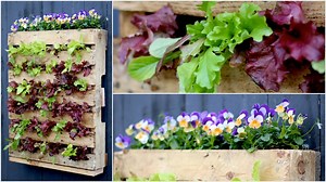 DIY Pallet Planter! 󾀾󾌰 | Garden Answer