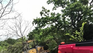 80K views · 3.9K reactions | Had to stock down a Deere this morning. Found him. | Marcus Luttrell | Facebook