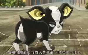 Animan Studio - Iggy