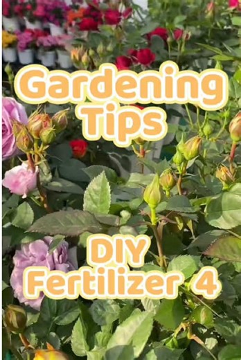 DIY fertilizer😍 pls comment “garden” if you need the tool #plantsoftiktok #gardeningtips #gardeninghacks #gardentips #garden